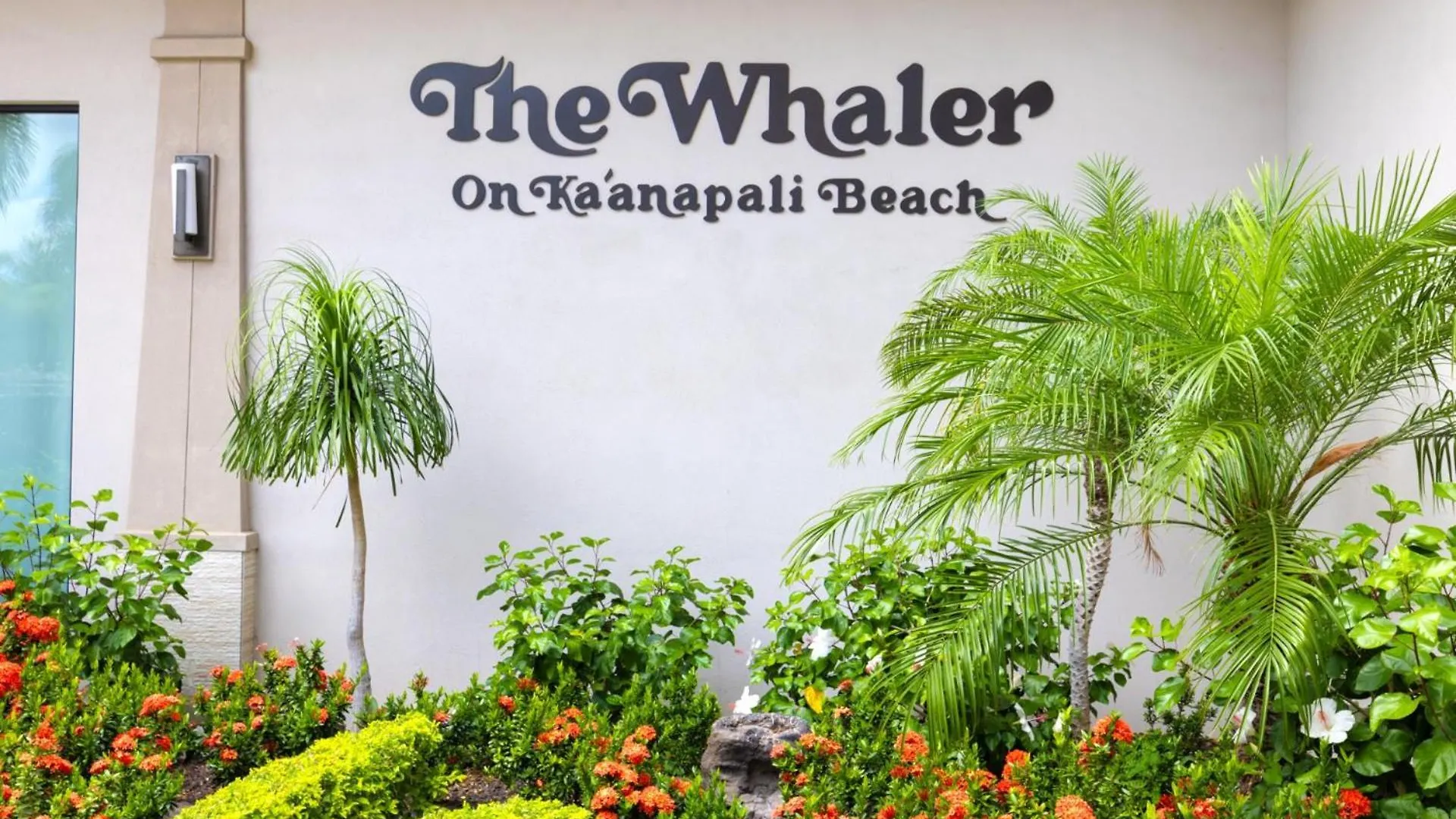 Kbm Resorts Free Car The Whaler Wh2-661 Sweeping Ocean Views Newly Furnished 2023 Kaanapali Estados Unidos da América
